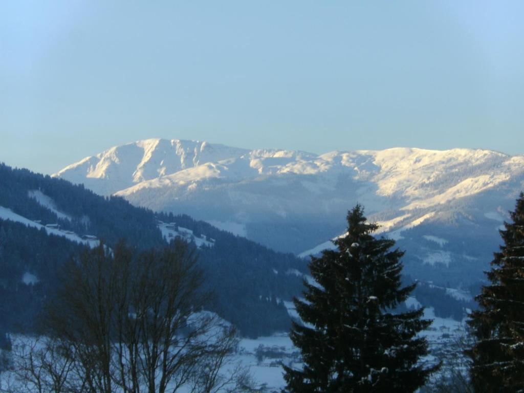 Bauernhof Hundbichl Vila Brixen im Thale Exterior foto